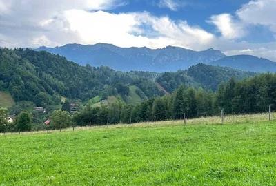 PROPRIETAR - 3274 mp intravilan Simon (BRAN) - 1