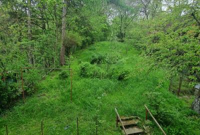 Inchiriere vila la munte, Campulung Muscel, Arges - 5