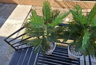 Apartament cu 3 camere  cu loc de parcare si curte proprie -de vanzare - 17