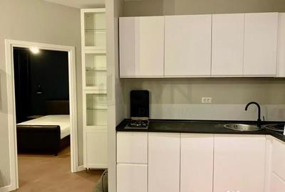 Apartament cu 2 camere semidecomandat, mobilat în Herăstrău - 4