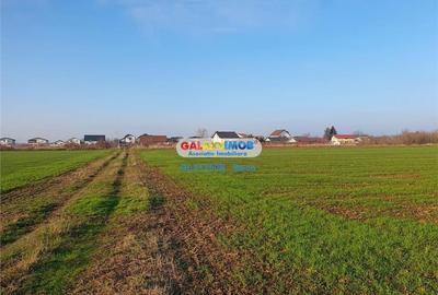 Teren intravilan Crevedia-Manastirea - 4