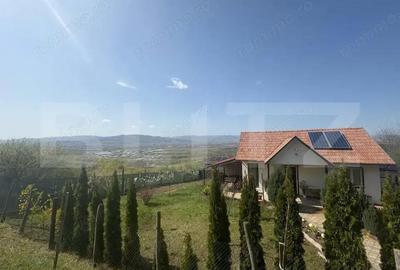 Casa de vacanta zona Ciugud - 7