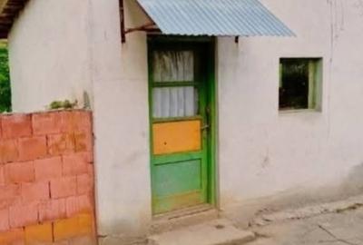 Casă cu 3 camere cu Teren 10300 Mp în Central - 2