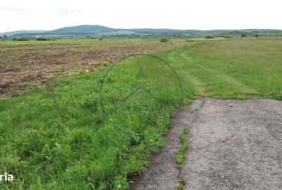 Spațiu comercial, în Șintereag - 2