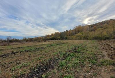 Teren intravilan, 4967 mp, utilita?i, sat Rasova, Bale? - 1