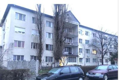 Apartament o camerA loc. Sandra jud Timis - 2