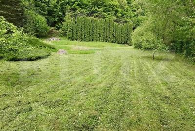 Casa de Vacan?a pe Valea Ighielului 3 camere, 2500 mp curte - 13