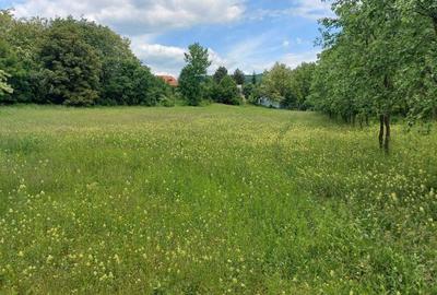 Spațiu comercial, în Drajna - 1