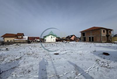 Teren Sanpetru Primaverii toate utilitatile - 3