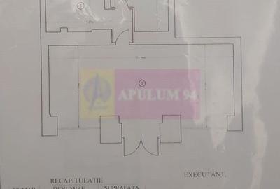 Inchiriere spatiu comercial bd Unirii-Fantana Mare - 4