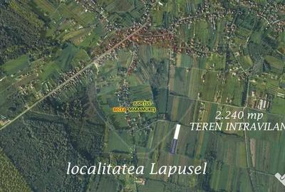 Teren de 2240 mp, în Lăpuș - 2