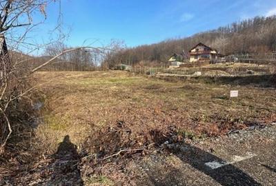 TAUTII MAGHERAUS strada 74 teren intravilan de aprox 36ari ! - 7