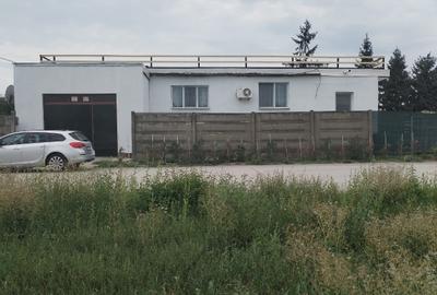 Spațiu comercial, de 420 mp, în Mintia - 8