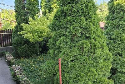 Casă cu Teren 800 Mp în Central - 16