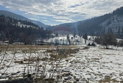 Teren Construcții intravilan de 3486 mp, în Iacobeni - 3