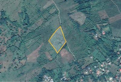 REL4001190 Teren de vanzare in Ogretin I Valenii de Munte I Prahova - 5