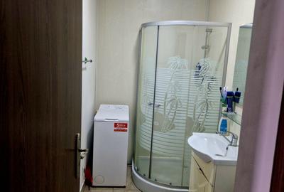 Garsonieră semidecomandată în Bariera Vâlcii - 4