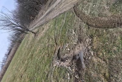 Teren de 1400 mp, în Central - 3