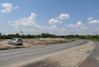 Teren construcție, în Sânnicolau Mic - 6