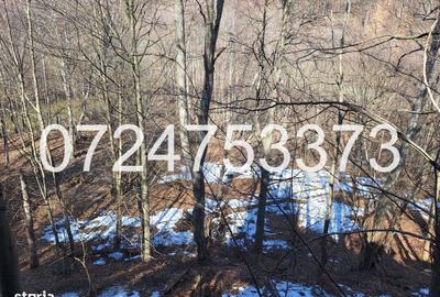 Casă cu 2 camere în Chiciureni - 3