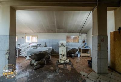 Spatiu comercial+afacere functionala: brutarie,rute de distributie,Ghelinta - 19