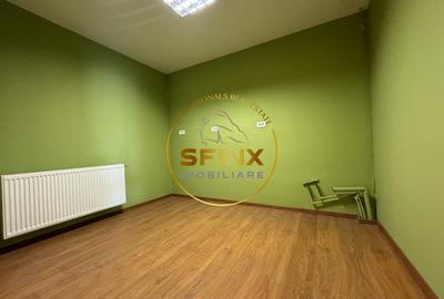 Hala si birouri zona Mogosoaia sos Odai - 11