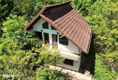 Casă cu 3 camere în Capul Câmpului - 10