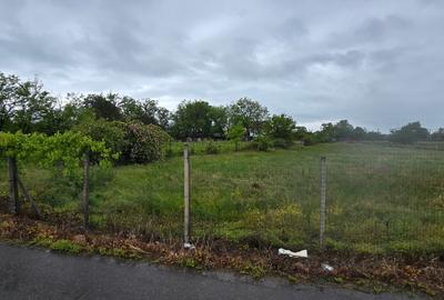 Casa si teren intravilan 4200 mp  Cotesti - 25
