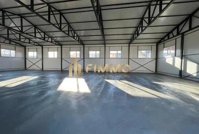 Hala Ipotesti | 400 mp | trifazic 120 kw | 350 mp curte - 1