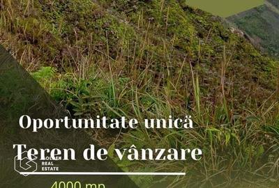 Oportunitate deosebita! Teren 4000 mp, intravilan, Sanpaul - 3