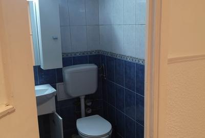 Apartament 3 camere Brancoveanu - Budimex - Nițu Vasile - 10