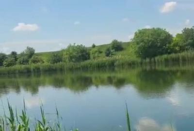 Teren de 6000 mp, în Sud - 1