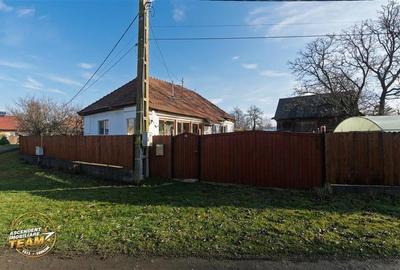 FILM! Casa cu sura, pivnita, balta cu pesti, 2.280 mp teren roditor, Lemnia, Cov - 14