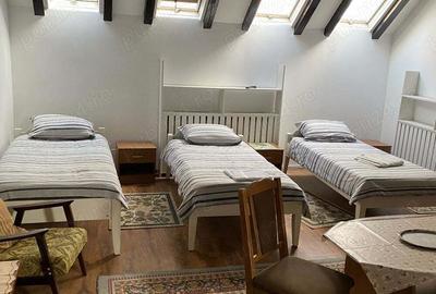 Spatiu de inchiriat - 3