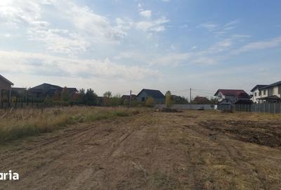 Teren de 8000 mp, în Păulești - 2