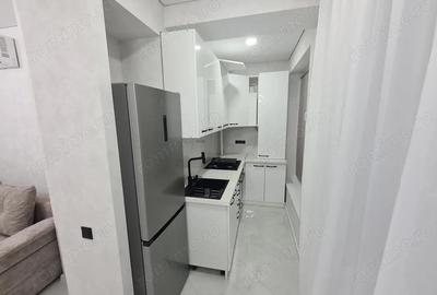 Apartament cu 2 camere decomandat în Șagului