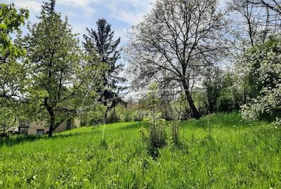 Teren intravilan 1740 mp. cu casa intabulata in PH-PROVITA DE SUS - 2