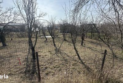 Teren de 400 mp, în Moșoaia - 3