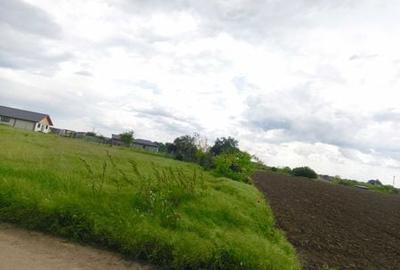 Teren de 727 mp, în Vărăști