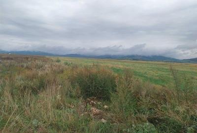 33.100mp, Tarlungeni, Brasov - 8