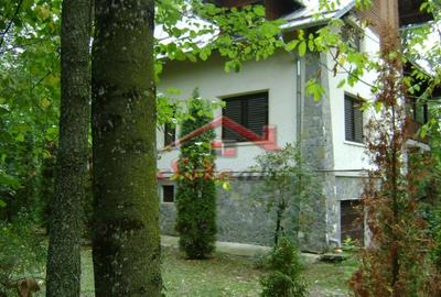 Casă cu Teren 916 Mp în Cornu - 7