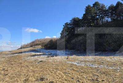 Teren în Feleacu - 5