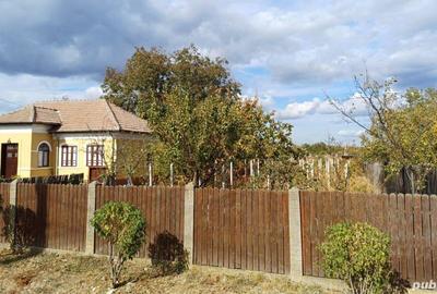 Casă cu 2 camere în Giurgița - 8