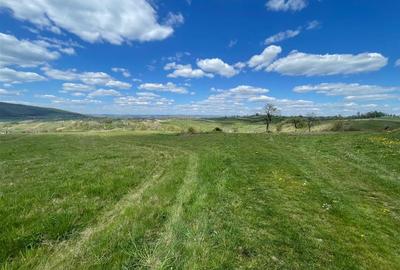 Teren intravilan de 6301 mp, în Bălnaca - 4