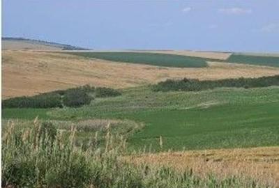 Teren Extravilan Aroneanu, ID: R2577828 - 1