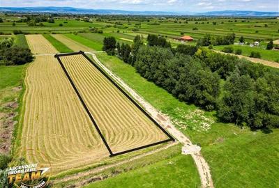 Teren intravilan,2.900mp,recomandat: investitional/ rezidential/constructii,Lunc - 4