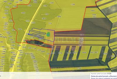 Teren agricol extravilan de 62600 mp, în Albota - 1