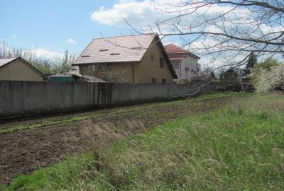 Cornetu - Lalelelor, Stradal - 5