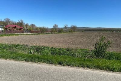 Spațiu comercial, în Bălteni - 2