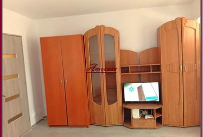 Garsonieră semidecomandată în Valea Rosie - 6